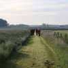 IMG_8569